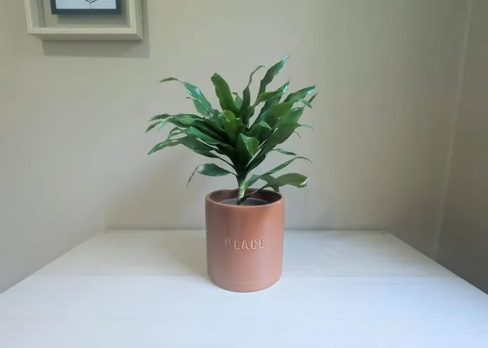 Les Hortensias - Parking - Exterieur - Wifi